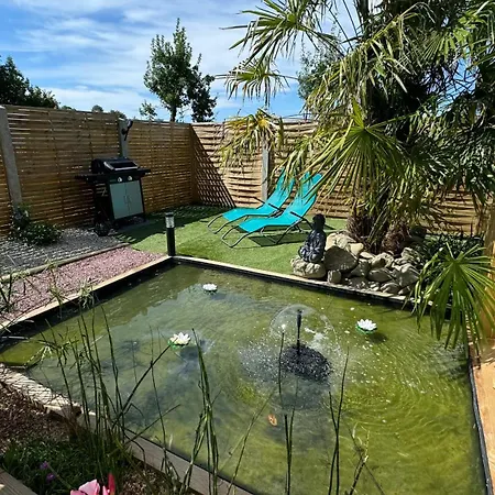 Oasis *