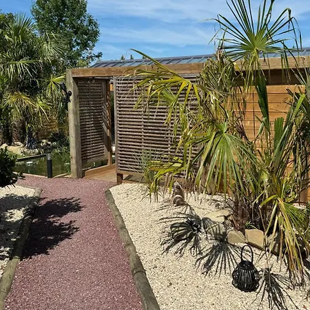 Oasis